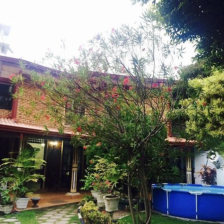 Colombo Lavinia Beach Hostel Dehiwala-Mount Lavinia Zewnętrze zdjęcie