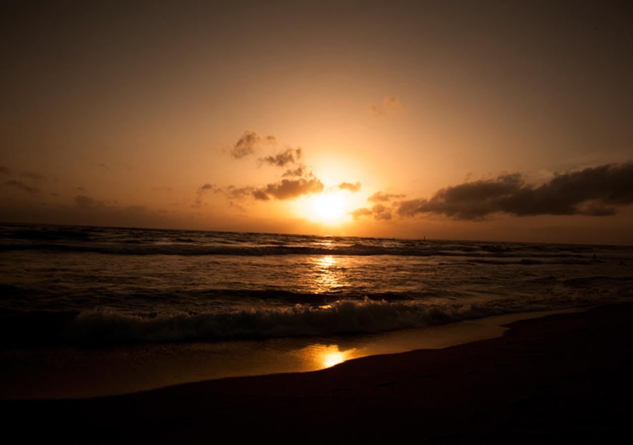 Colombo Lavinia Beach Hostel Dehiwala-Mount Lavinia Zewnętrze zdjęcie